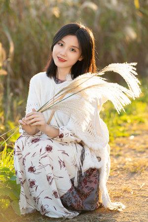 wiki中文维基官网